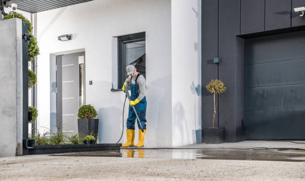 Best Sidewalk and Walkway Cleaning  in Belle Plaine, MN